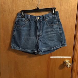 American Eagle Outfitters Blue Jean Mom Shorts